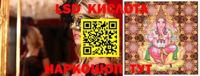 сатива Будённовск