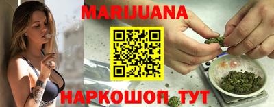 сатива Будённовск