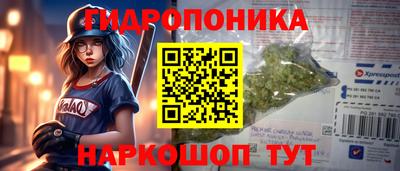 шишки Бузулук