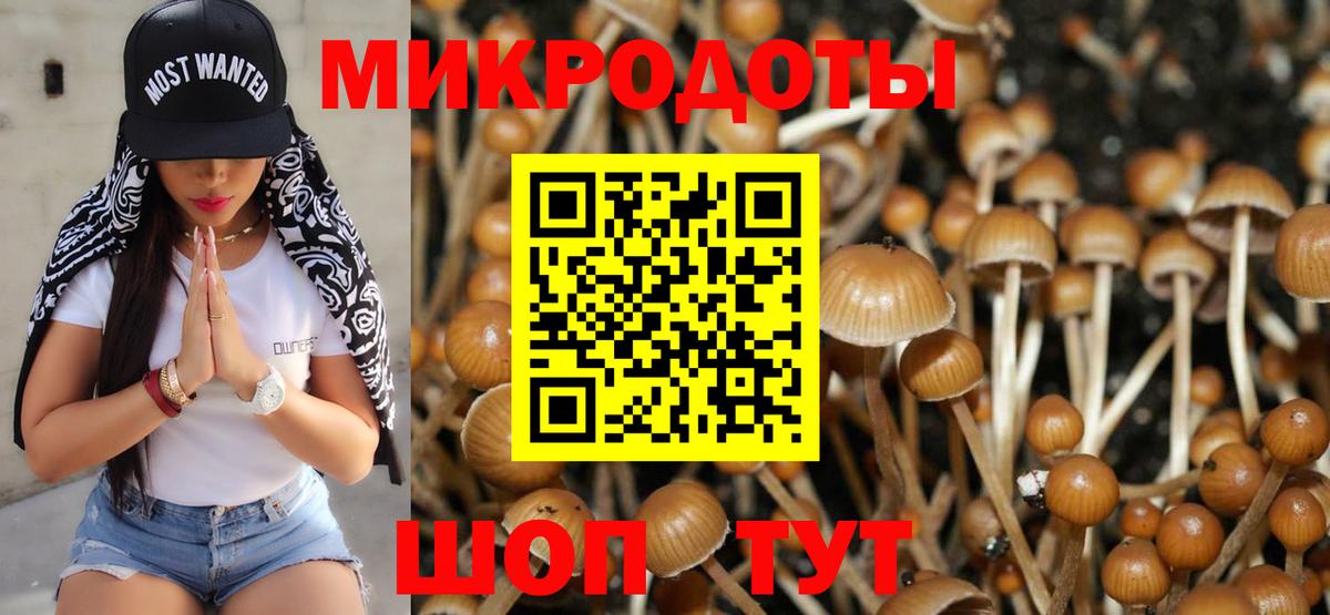 Псилоцибиновые грибы мухоморы Котовск