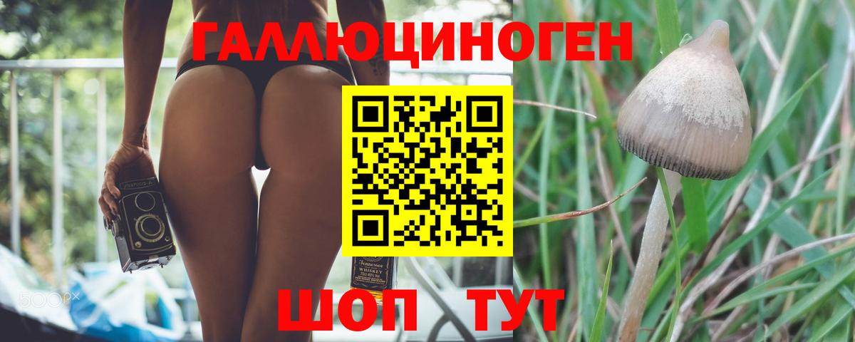 Галлюциногенные грибы мицелий  наркота  Котовск  Вход с VPN 